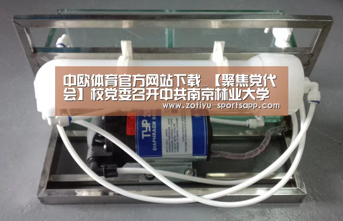 中欧体育app官方下载