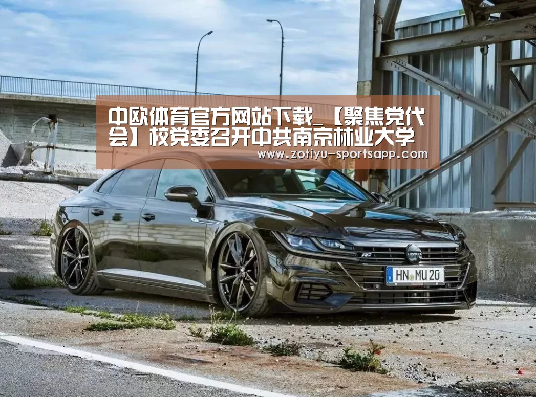 中欧体育app官方下载