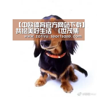 【中欧体育官方网站下载】共绘美好生活 《世茂集团2019可持续发展报告》正式发布(图3) 中欧体育官方网站下载
