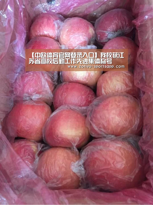 中欧体育官方网站下载
