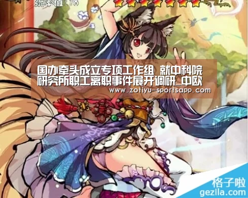 中欧体育官方网站下载