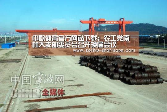 中欧体育官方网站最新版